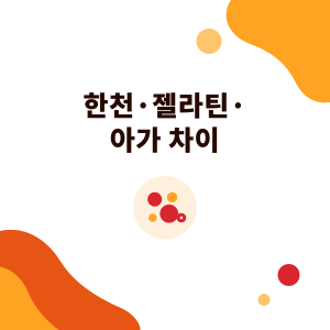 한천·젤라틴·아가 차이: 식물성과 동물성 응고제, 젤리와 크리스탈보바 선택법