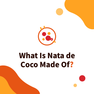 What Is Nata de Coco (Coconut Jelly) Made Of? Ingredients, Process, Origin and Bubble Tea Uses