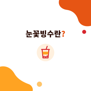 눈꽃빙수란? 눈꽃빙수 vs 빙수, 눈꽃빙수 파우더와 매장용 눈꽃빙수 기계