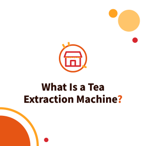 What Is a Tea Extraction Machine? Freshly Extracted vs Batch-Brewed Tea and Choosing Extraction Bags